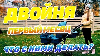 Двойня. Первый месяц жизни. Что с ними делать ?