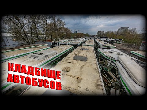 Кладбище автобусов в Москве | Парк списанных автобусов МОСГОРТРАНС