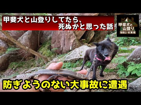 【総集編】甲斐犬と山登りしたら、大事故に遭遇した話【瑞牆山リベンジ】