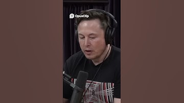 Are We Cybernetic Symbiotes? The AI Connection Explained