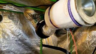 Carbon filter and fan! The best odor control for growing more then a couple of plants!