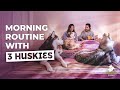 Morning Routine With My Dog | HUSKY SQUAD