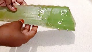 Haddaad Danenayso In Aad Ogaato Fawaaida Ay Ulehdahay Timaha Dacaarta Ila Daawo Muuqaalkani