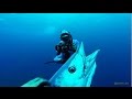 Best of North Carolina Spearfishing - Wahoo & mix