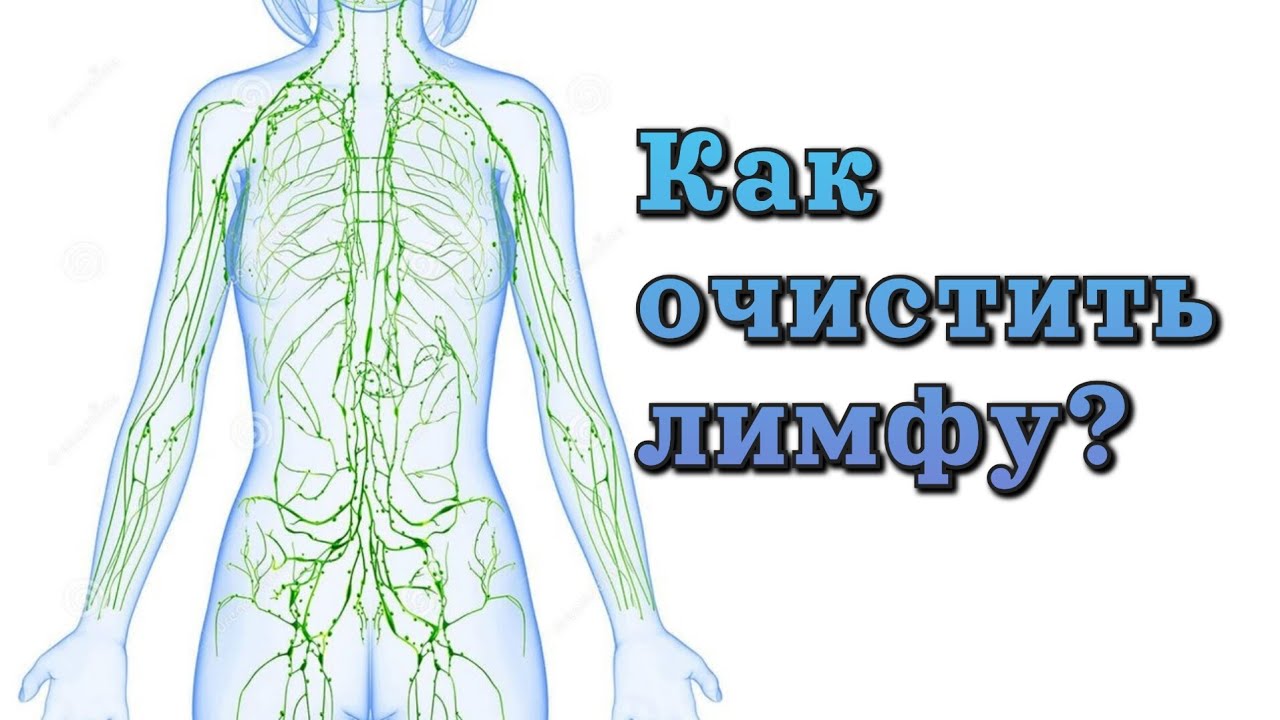 Как очистить лимфу? - YouTube