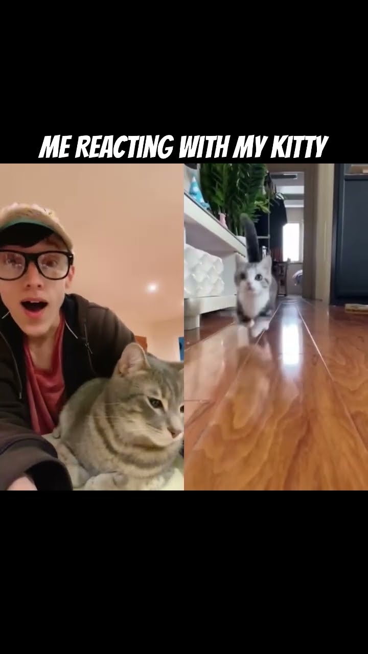 The Cat Reaction Video: AWW Meow #TheManniiShow.com/series