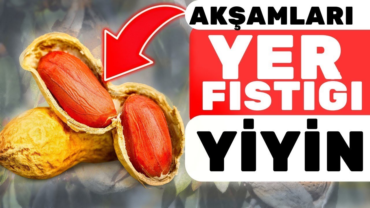 1 Avuç Yer Fıstığı Vücudunuza Bunları Yapıyor | Yer Fıstığının Faydaları Nelerdir?