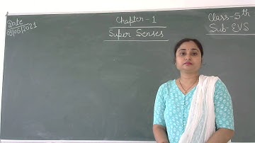 Class 5 EVS / Chapter 1. Super Senses ( Part 2)