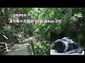 【４K】～お散歩写真～　Nikon Zfcを持って夏の等々力渓谷をお散歩