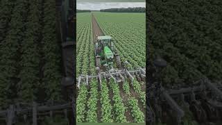 John Deere Smart Weeding Machine in Action 🚜 | Precision Farming USA #farming #farm #agriculture