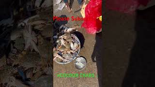 #crabs #beach #india #fishing #water #telugu