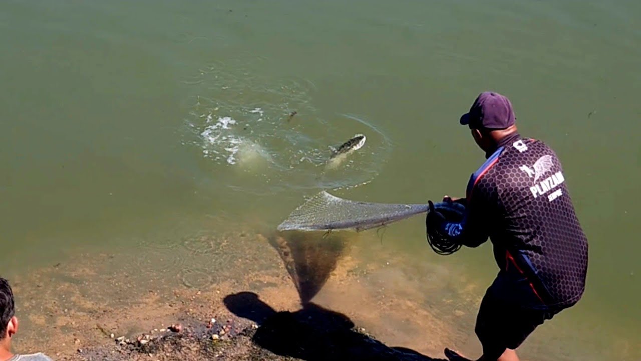 COMPROU A TARRAFA E LEVOU PEIXE PARA CASA