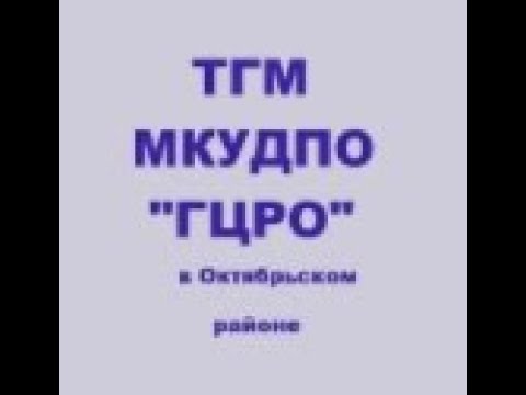 Педагогическая мастерская "Социализация детей дошкольного возраста с ОВЗ"