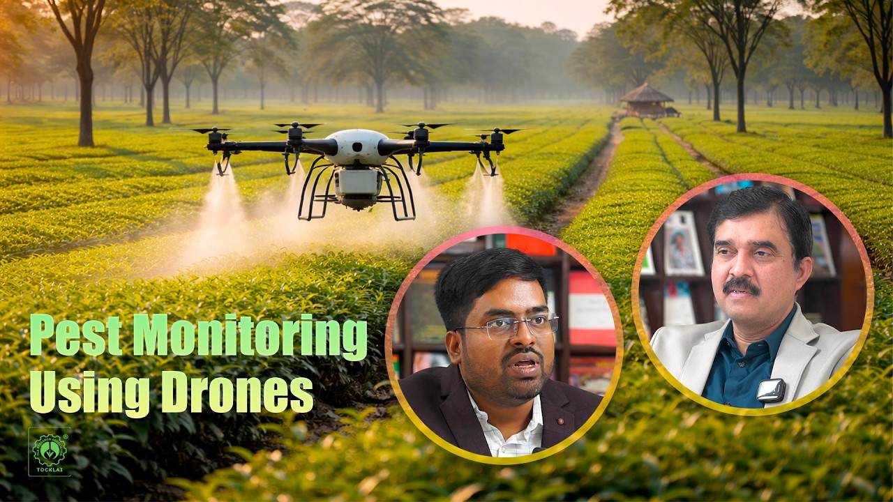 Smart Tea Cultivation: Pest Monitoring Through Drones (Tea Time Ep. 22)