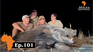 Bushpig from a blind, and Run&amp;Gun style. Africa&#39;s Sportsman Show Ep 101