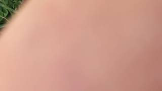 IMG 1498
