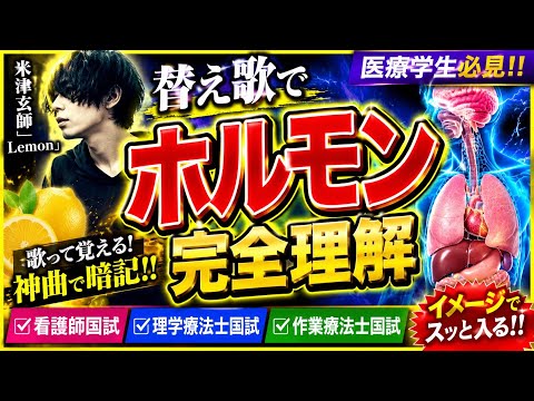 【替え歌】ホルモン【米津玄師🍋Lemon】Full Version