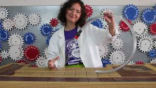 Stomp Rockets | Wise Wonders
