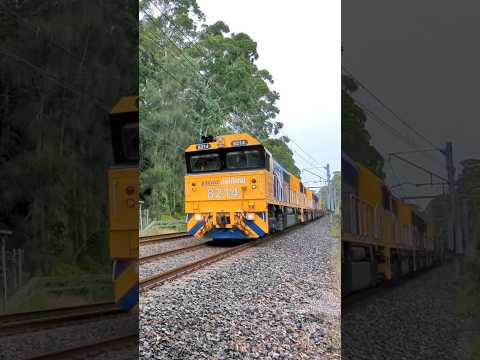 Pacific National hauled grain train 8934 led by 8214 8227 8242 & 8244 Oatley in the rain 30/1/23