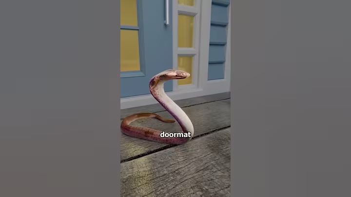 FedEx Hero Risked His Life… To Save Kid 👐