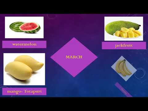 Different Seasonal Fruits In India