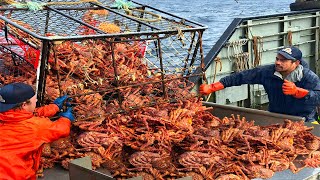 Amazing Catch Hundreds Tons Alaska King Crab On the Sea - Amazing Crab  Fishing With Modern Boat 
