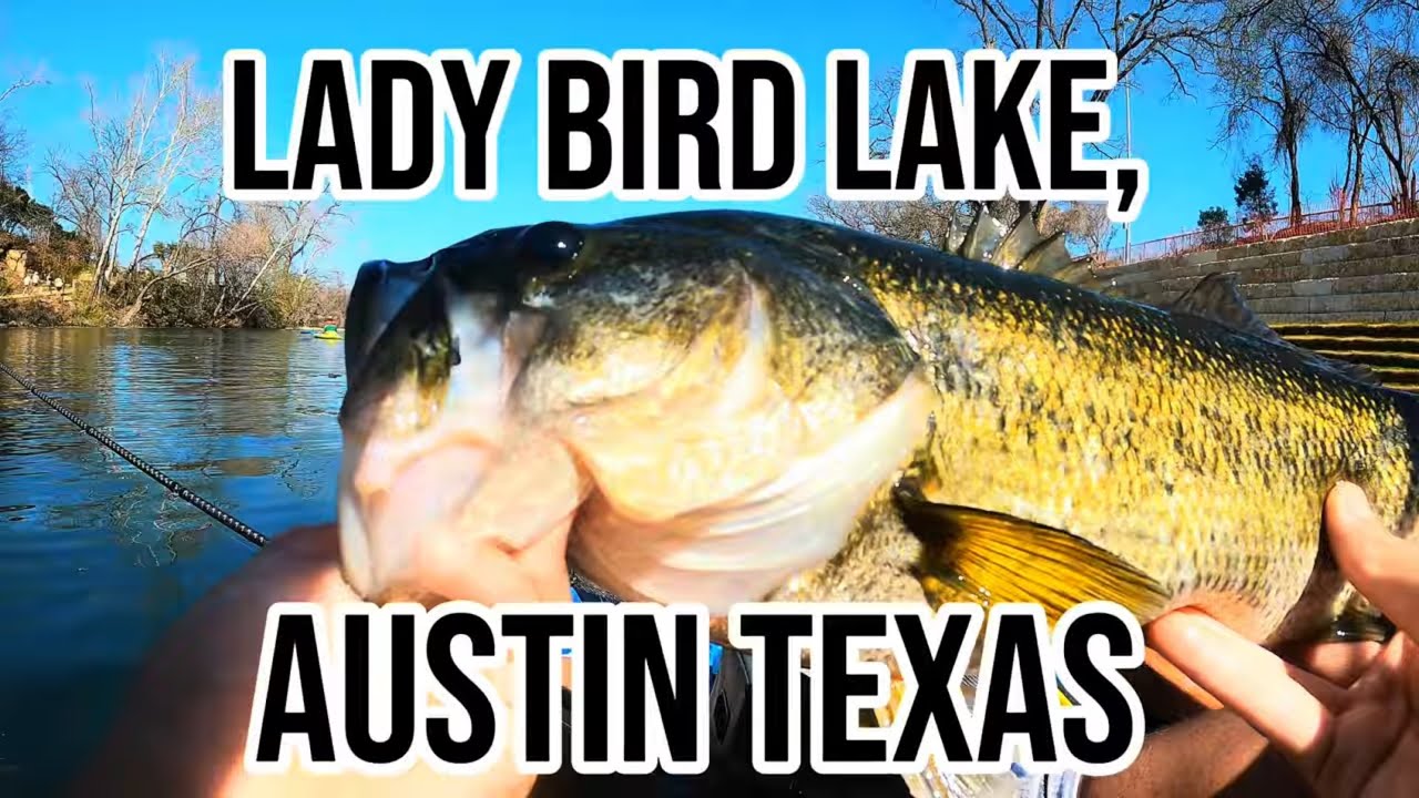 Downtown Bassin (central Texas)