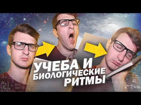 Видео: Знаете ли вы циркадный ритм?