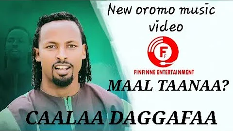 MAAL TAANAA? _ Oromo _ Music by _ Caalaa Daggafaa