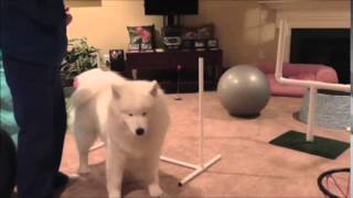 Week 4 Trick 22 Cik and Cap Jump Wraps