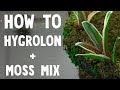 Hygrolon Terrarium with Moss Mix TEST
