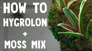 Hygrolon Terrarium with Moss Mix TEST