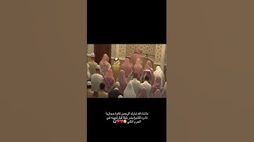 تلاوة حجازية لفضيلة الشيخ بندر بليلة 🤎✨️