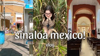 mexico vlog in sinaloa: ranch life with parties, food, motorcycles and more!