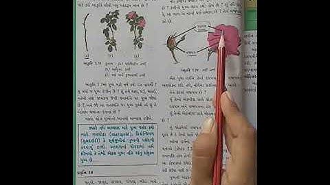 Std-6(gujrati medium),science,ch-7(part-8),by sonal tandel.