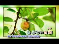 湯の花KOUTA  石川さゆり