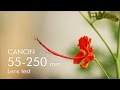 Canon EF-S 55-250 mm lens test