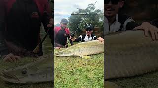 Pirarucu gigante capixaba! #pesca