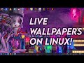 How to use LIVE WALLPAPERS on Linux! (For KDE Plasma)