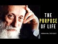 What Is The Purpose Of Life? Abraham Twerski&#39;s Eye Opening Speech