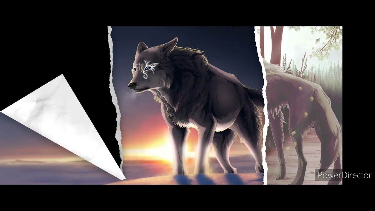 Wolf King  💙Nightcore-Anime And More💙 Amino