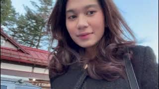 Vlog of a trip to Nikko, Japan
