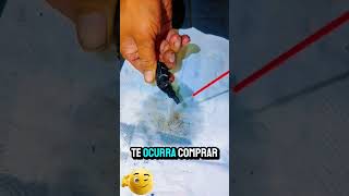 🚨 ¿Luz del ABS encendida? NO vayas al taller sin ver esto antes. 🛑👇