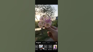 How to Add Your Own Music in Video in Likee Application