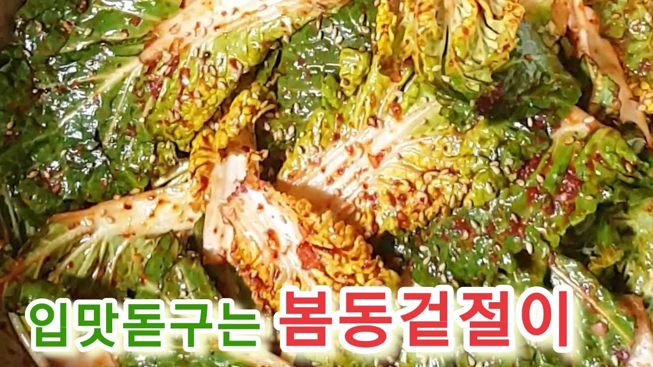 먹고 또 먹고싶어지는 봄동겉절이 #봄동겉절이 #겉절이