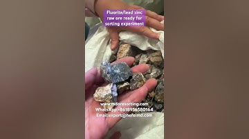 Fluorite lead zinc samples ready for sorting experiment #oresorting #fluoriteseparation