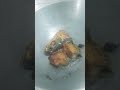 মাছ ঢেঁড়স আলুর ঝোল