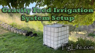 Gravity Feed Irrigation Setup