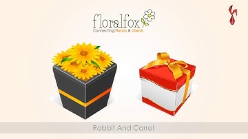 Floral Fox - Promotional Video by Rabbit And Carrot