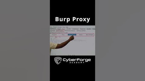 Getting Started with Burp Suite Proxy: Web Security Testing Tutorial